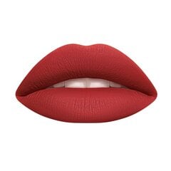 Šķidra lūpu krāsa Wycon Cosmetics Liquid Lipstick 30 BABY BRICK cena un informācija | Lūpu krāsas, balzāmi, spīdumi, vazelīns | 220.lv