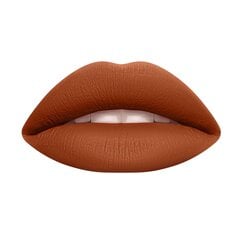 Šķidra lūpu krāsa Wycon Cosmetics Liquid Lipstick 47 Brick Club cena un informācija | Lūpu krāsas, balzāmi, spīdumi, vazelīns | 220.lv