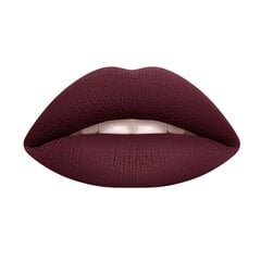 Šķidra lūpu krāsa Wycon Cosmetics Liquid Lipstick 56 Deep Brown cena un informācija | Lūpu krāsas, balzāmi, spīdumi, vazelīns | 220.lv