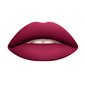 Šķidra lūpu krāsa Wycon Cosmetics Liquid Lipstick 59 Plum Call cena un informācija | Lūpu krāsas, balzāmi, spīdumi, vazelīns | 220.lv