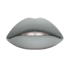 Šķidra lūpu krāsa Wycon Cosmetics Liquid Lipstick 67 Ice Grey cena un informācija | Lūpu krāsas, balzāmi, spīdumi, vazelīns | 220.lv