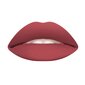 Šķidra lūpu krāsa Wycon Cosmetics Liquid Lipstick 80 Confessions cena un informācija | Lūpu krāsas, balzāmi, spīdumi, vazelīns | 220.lv