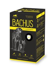 Barības piedeva Bachus Immunity&Resistance, 60 tabl. cena un informācija | Vitamīni, uztura bagātinātāji, pretparazītu līdzekļi suņiem | 220.lv