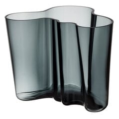 Iittala Aalto vāze 160mm tumši pelēka cena un informācija | Vāzes | 220.lv