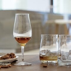Бокал для виски Spiegelau Whisky Snifter Premium, 2 шт. цена и информация | Стаканы, фужеры, кувшины | 220.lv