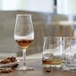 Spiegelau viskija glāze Whisky Snifter Premium, 2 gab. cena un informācija | Glāzes, krūzes, karafes | 220.lv