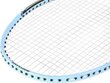 Badmintona rakete Nils Extreme NR204 cena un informācija | Badmintons | 220.lv