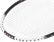 Badmintona rakete Nils Extreme NR305 cena un informācija | Badmintons | 220.lv