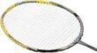 Badmintona rakete Nils Extreme NR419 цена и информация | Badmintons | 220.lv