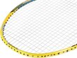 Badmintona rakete Nils Extreme NR419 цена и информация | Badmintons | 220.lv