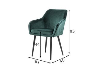 Ēdamistabas krēsls, zaļš cena un informācija | Virtuves un ēdamistabas krēsli | 220.lv