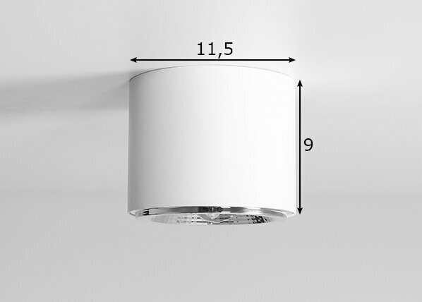 Griestu lampa Bot, balta, 35 W 891149869 cena un informācija | Griestu lampas | 220.lv