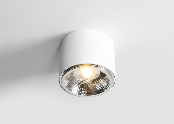Griestu lampa Bot, balta, 35 W 891149869 cena un informācija | Griestu lampas | 220.lv