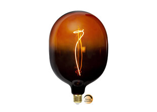Dekoratīvā elektriskā spuldze, E27, 4 W/60 lm цена и информация | Лампочки | 220.lv