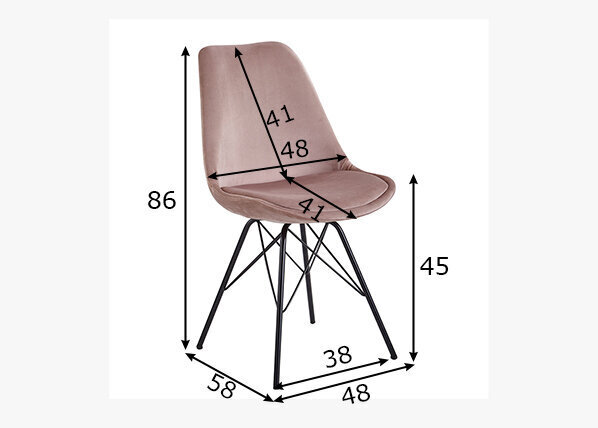 Ēdamistabas krēslu komplekts Skandinavisch, 2 gab., rozā cena un informācija | Virtuves un ēdamistabas krēsli | 220.lv