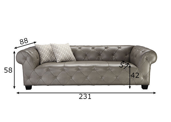 Dīvāns Sofa, pelēks цена и информация | Dīvāni | 220.lv
