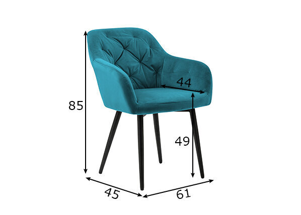 Ēdamistabas krēsls, tirkīza krāsas cena un informācija | Virtuves un ēdamistabas krēsli | 220.lv