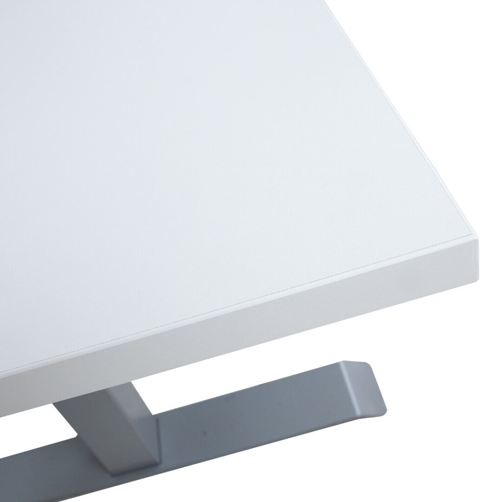 Darba galds ERGO ar 2 motoriem, 160 x 80 cm, pelēcīgi balts цена и информация | Datorgaldi, rakstāmgaldi, biroja galdi | 220.lv
