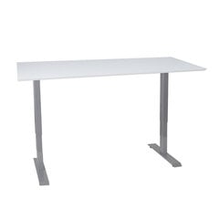 Darba galds ERGO ar 2 motoriem, 160 x 80 cm, pelēcīgi balts cena un informācija | Datorgaldi, rakstāmgaldi, biroja galdi | 220.lv