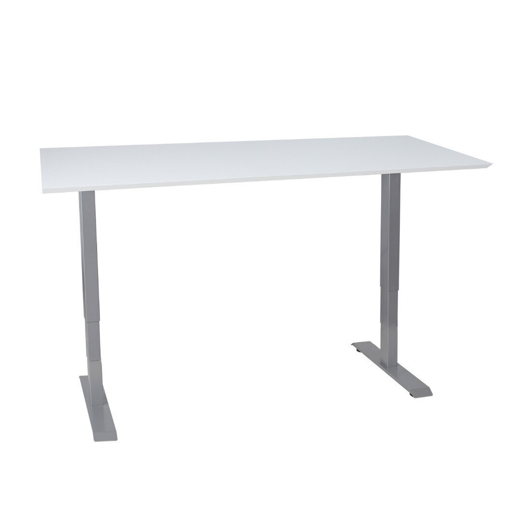 Darba galds ERGO ar 2 motoriem, 160 x 80 cm, pelēcīgi balts цена и информация | Datorgaldi, rakstāmgaldi, biroja galdi | 220.lv