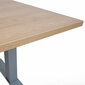 Darba galds ERGO ar 1 motoru, 160 x 80 cm, hikorija cena un informācija | Datorgaldi, rakstāmgaldi, biroja galdi | 220.lv
