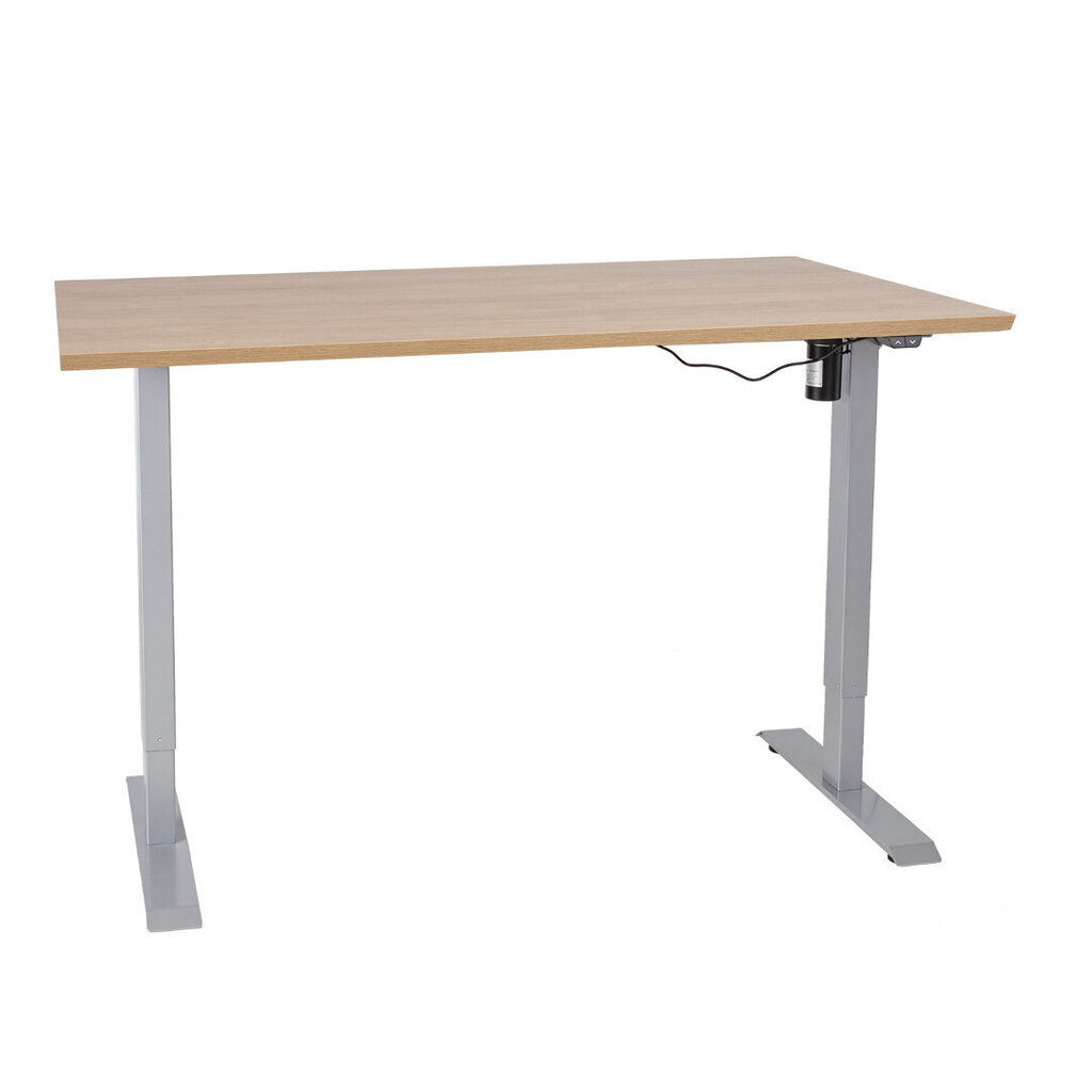 Darba galds ERGO ar 1 motoru, 160 x 80 cm, hikorija cena un informācija | Datorgaldi, rakstāmgaldi, biroja galdi | 220.lv