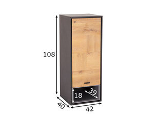 Настенный шкаф Sentosa цена и информация | Шкафчики в гостиную | 220.lv
