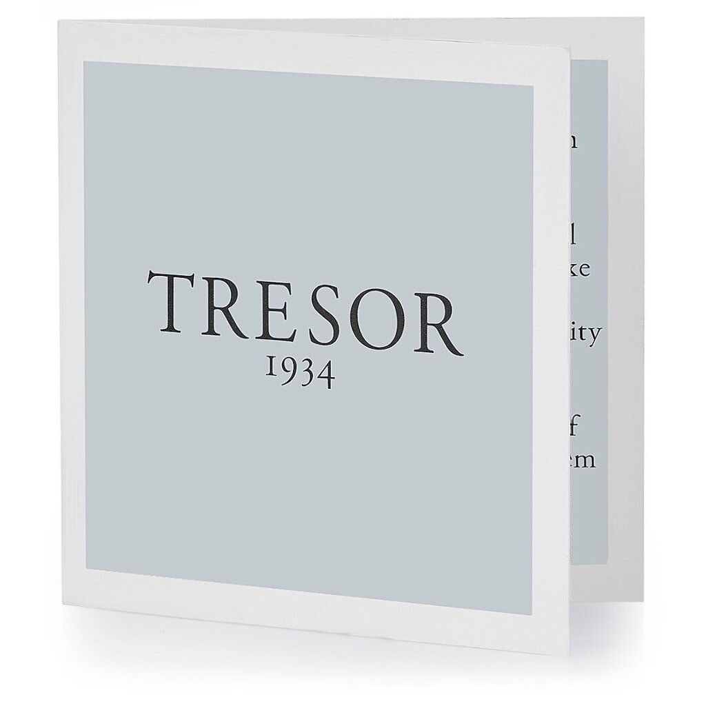 Tresor auskari 891108506 cena un informācija | Auskari | 220.lv