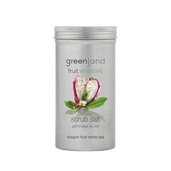 Ķermeņa sāls skrubis Greenland pūķa auglis-baltā tēja, 400 g cena un informācija | Ķermeņa skrubji | 220.lv
