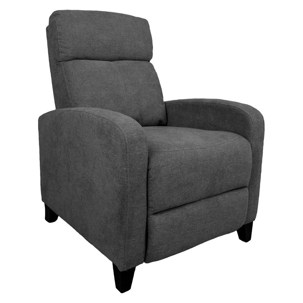 Atpūtas krēsls ENIGMA ar manuālu mehānismu 68x91xH100cm, pelēks cena un informācija | Atpūtas krēsli | 220.lv