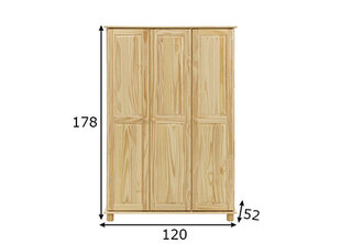 Шкаф, натуральная отделка, 3 двери цена и информация | Шкафы | 220.lv