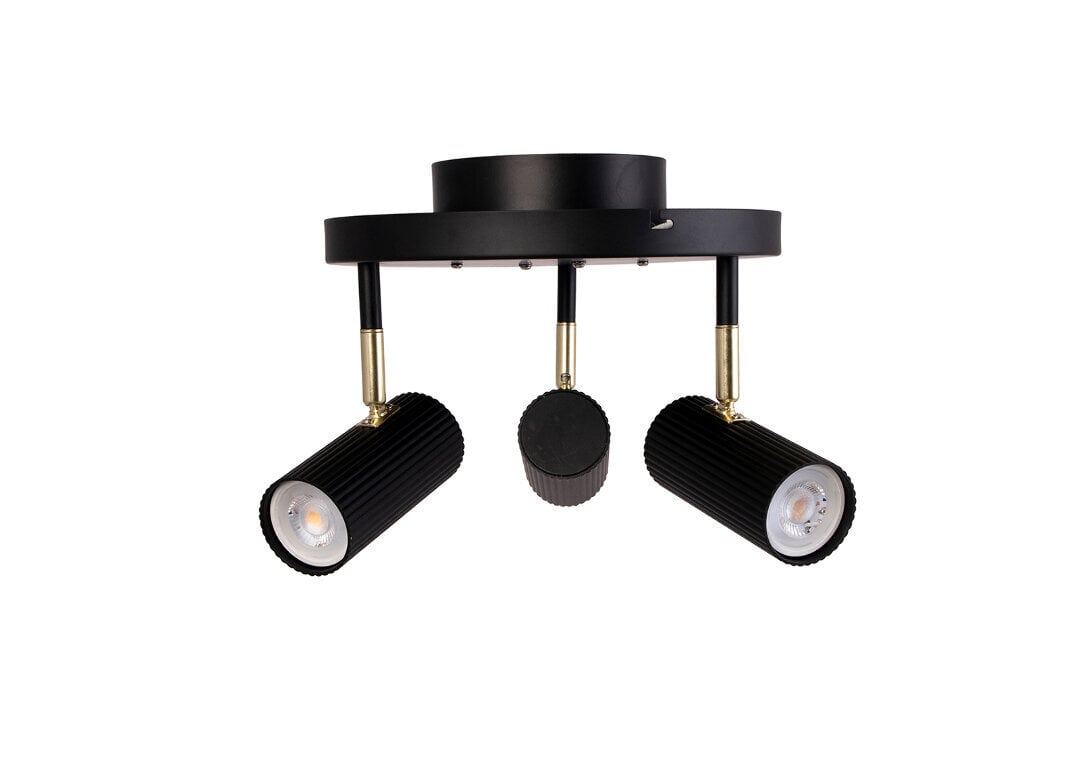 Globen Lighting griestu lampa Habla цена и информация | Griestu lampas | 220.lv