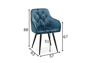 Ēdamistabas krēslu komplekts Nadja, 2 gab., gaiši zils cena un informācija | Virtuves un ēdamistabas krēsli | 220.lv