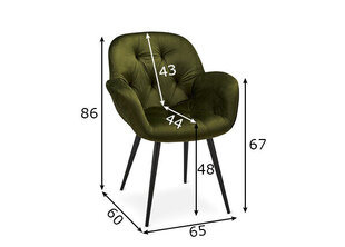 Ēdamistabas krēslu komplekts Salina, 2 gab., olīvu zaļš cena un informācija | Virtuves un ēdamistabas krēsli | 220.lv