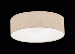 Fischer & Honsel griestu lampa Thor 891097823 cena un informācija | Griestu lampas | 220.lv