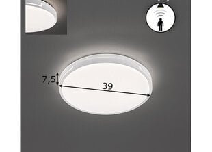 Потолочный светильник Fischer & Honsel Tex BS LED, 891099647 цена и информация | Потолочные светильники | 220.lv