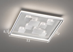 Светодиодный потолочный светильник Fischer & Honsel Rico LED, 891099648 цена и информация | Потолочные светильники | 220.lv