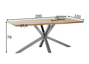 Ēdamistabas galds Tisches, 100 x 200 cm, sudrabainas kājas cena un informācija | Virtuves galdi, ēdamgaldi | 220.lv