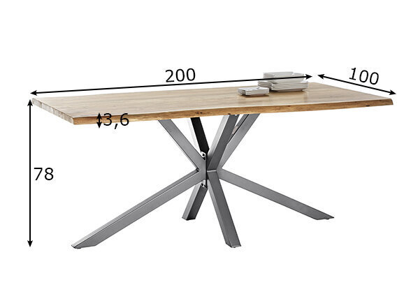 Ēdamistabas galds Tisches, 100 x 200 cm, sudrabainas kājas cena un informācija | Virtuves galdi, ēdamgaldi | 220.lv