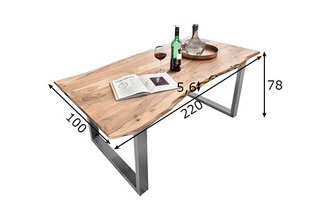 Ēdamistabas galds Tische, 220 x 100 cm, sudrabainas kājas cena un informācija | Virtuves galdi, ēdamgaldi | 220.lv