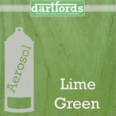 Lime Green аэрозоль Dartfords FS6206 цена и информация | Принадлежности для музыкальных инструментов | 220.lv