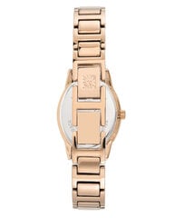 Sieviešu rokas pulkstenis Anne Klein AK/3496RGRG 891057233 цена и информация | Женские часы | 220.lv