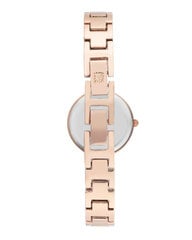 Sieviešu rokas pulkstenis Anne Klein AK/3150RGRG 891057301 цена и информация | Женские часы | 220.lv