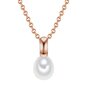 Kaklarota Valero Pearls 890930542 цена и информация | Kaklarotas | 220.lv