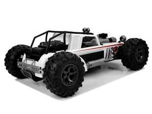 Дистанционно управляемый Auto Buggy 1:12 2.4G, белый цена и информация | Игрушки для мальчиков | 220.lv