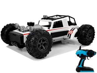 Дистанционно управляемый Auto Buggy 1:12 2.4G, белый цена и информация | Игрушки для мальчиков | 220.lv