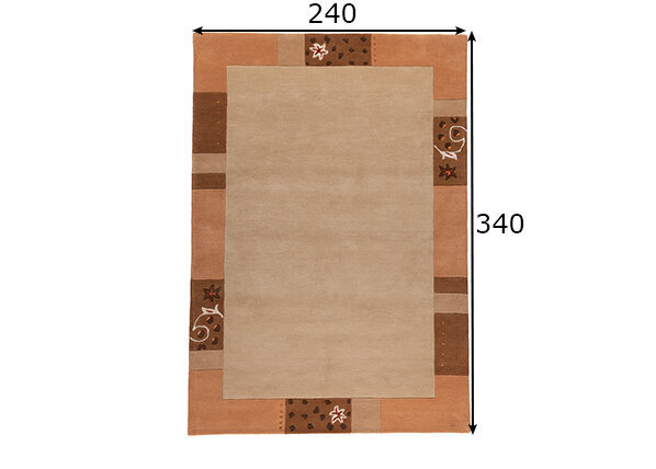 Paklājs Royal Ganges, 240 x 340 cm цена и информация | Paklāji | 220.lv