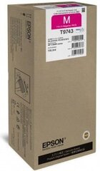 Epson C13T974300 цена и информация | Картриджи для струйных принтеров | 220.lv