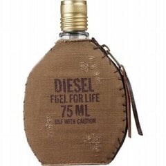 Tualetes ūdens Diesel Fuel For Life EDT vīriešiem 75 ml цена и информация | Мужские духи | 220.lv