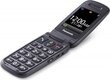 Panasonic KX-TU446EXG Gray цена и информация | Mobilie telefoni | 220.lv